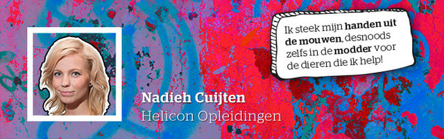 Nadieh Cuijten